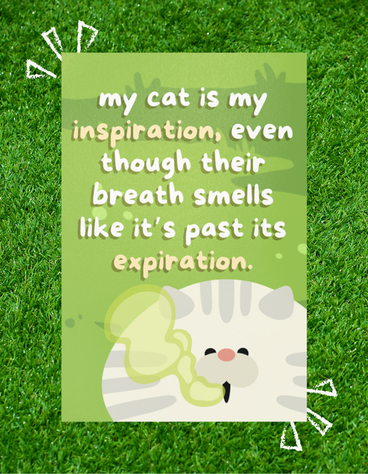My Cat is My Inspiration Postcard - White Cat